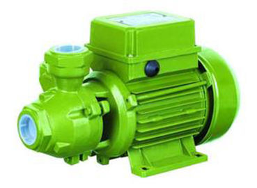 65l / Min Cast Iron Electric Water Transfer Pump Peripheral 0.75 Hp Water Pump