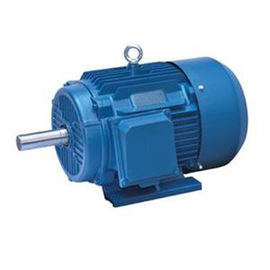 Two Pole Meet 3 Phase Induction Motor IEC34-1 And JB/T9616-1999 Standard