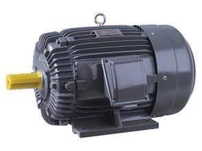 AEEF Fully Enclosed Air Cooled 3 Phase Squirrel Cage Motor Corrosion Resistant
