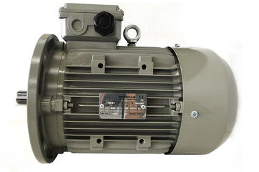 0.09kw-11kw Ms Aluminum Casing IEC Standard Motor , Three Phase Asynchronous Motor