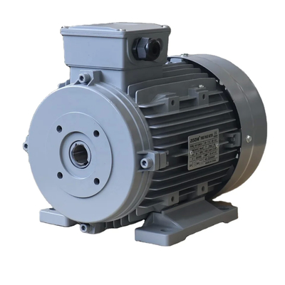 F Rated 50Hz Hollow Shaft Motor 8.8A Current IC411 Cooling Method 24mm Hollow Shaft Diameter