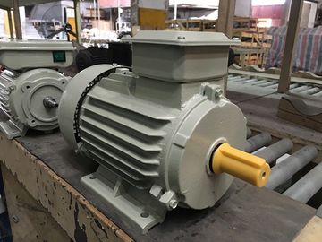 Synchronous Industrial  3 Phase Induction Motor Medium Three Phase Voltage 380V