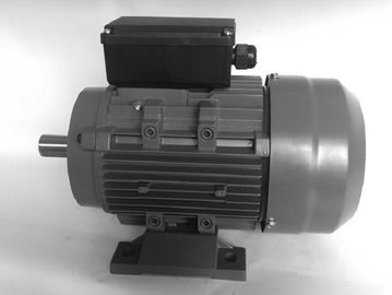 Frame 90 Light Weight Single Phase Induction Motor With NTN Bearing For Small Machine