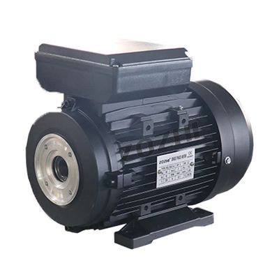 Hollow Shaft Electric Motor 220/380V 1.5KW/2HP with 24mm Hollow Shaft for Pressure Washer