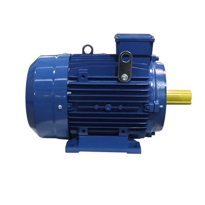 IP23 Protection Grade 3 Phase Induction Motor with Star Delta Starting Method Providing Starting and Industrial Performance