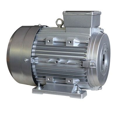 IP55 Protection 3 Phase Induction Motor Asynchronous Speed 1500RPM and Durable Motor for Industrial Automation Systems