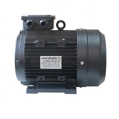 Life Span 3000h Hollow Shaft Motor 24MM Shaft Diameter 380V Voltage Ideal for Continuous in Manufacturing and Automation