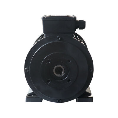Altitude ≤1000m 3 Phase Induction Motor Rated Output 0.12KW 315KW Service Factor 1.0 Designed for Industrial Performance