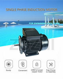 Swimming Pool Pump Single Phase Induction Motor 1.1kw 1.5 Hp Capacitor Running