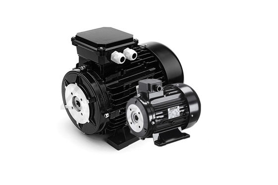 Energy Saving Hollow Shaft Motor Built for Continuous Operation and Minimal Maintenance in Industrial Environments
