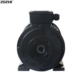 7.5kw 4 Pole 3000rpm Asynchronous Induction Motor IP54/IP55 With Hollow Shaft