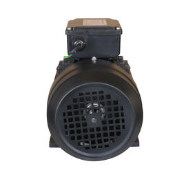 Single Phase Electric Motor Water Pump 1HP 0.75KW 2 Pole 2800RPM Enclosed Capacitor Running