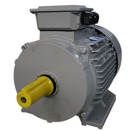 Y2 Squirrel 3 Phase Induction Motor 4 Pole 11KW /15HP For Biomass Pellet Machine