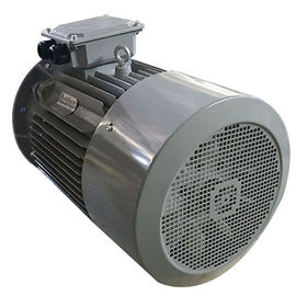 Brushless AC Three Phase Induction Motor 15KW 20HP 380V 400V 3000RPM Y2-160L-4