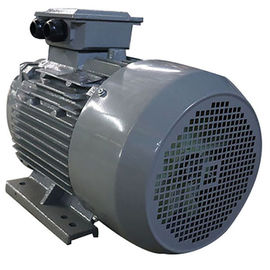 Brushless AC Three Phase Induction Motor 15KW 20HP 380V 400V 3000RPM Y2-160L-4