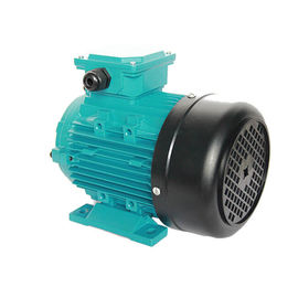 Totally Enclosed 3 Phase Induction Motor 0.75kw 1HP 1400RPM 50/60HZ MS802-4