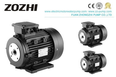 Aluminum Three Phase 380V Hollow Shaft Motor