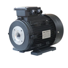 24mm Shaft 7.5Hp 1400Rpm Hollow Shaft Electric Motor