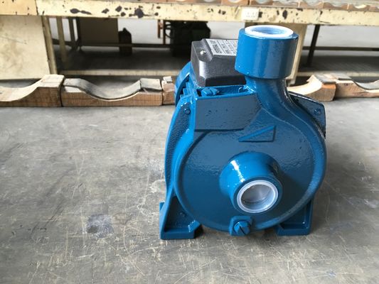 CPM-130 0.37kW 0.5HP Brass Impeller Centrifugal Irrigation Pump