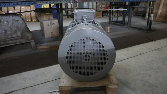 2900 Rpm 7.5KW 10hp Three Phase Ac Motor Y2-132S2-2