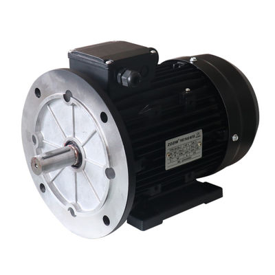 Aluminum 3KW 1400RPM Three Pahse Induction Motor MS-100L2-4