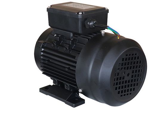 220v 2Hp IP54 Single Phase Asynchronous Induction Motor