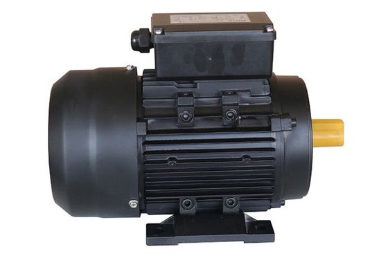 220v 2Hp IP54 Single Phase Asynchronous Induction Motor