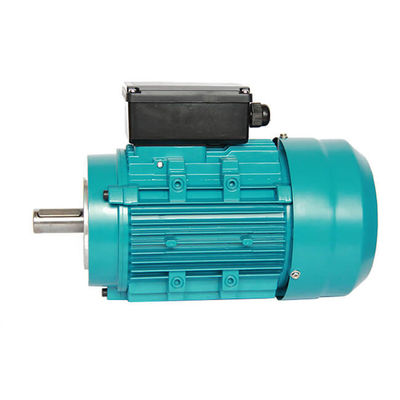 IP55 0.33HP 0.25KW Aluminium Asynchronous Induction Motor