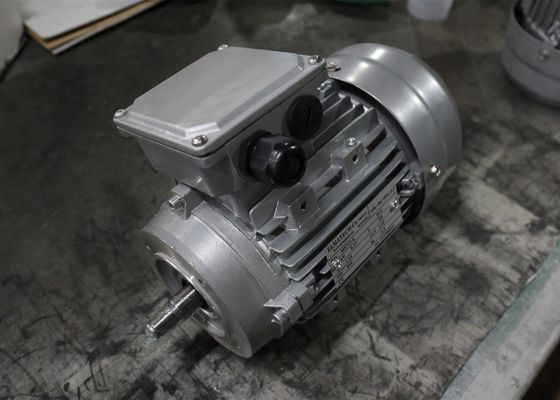 IP55 Aluminum 0.06kw Three Phase AC Motor IE3 For Pump