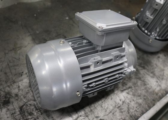 IP55 Aluminum 0.06kw Three Phase AC Motor IE3 For Pump