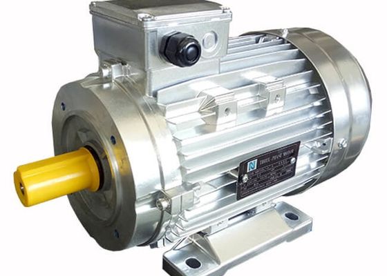 MS ICO141 Cooling IP44 2900Rpm 3 Phase Induction Motor