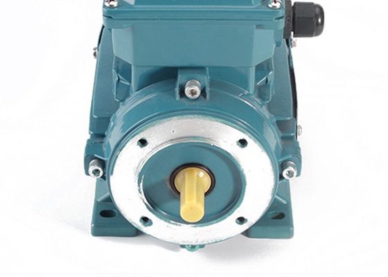 MS802-4 4 Poles B34 0.75KW 1HP Three Phase Electric Motor