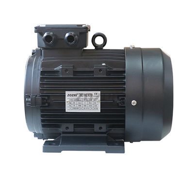 IC411 8.8A Hollow Shaft Motor With 35Kg Weight F Insulation Class