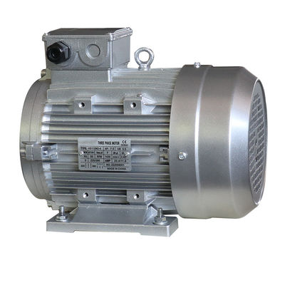 24mm Shaft Asynchronous Induction Motor AR Interpump For Pressure Washers